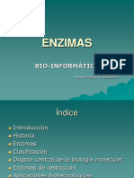 Ezimas - Biologia - Caractersiticas Generales
