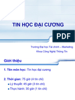 THDC DH V10