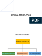 2º Aula de Anatomia-SISTEMA ESQUELETICO-Premem. 2020 - PPT - Verdadeiro