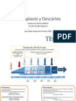 Presentaciones Reemplazos y Descartes