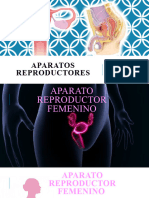 Aparato Reproductor Masculino y Femenino