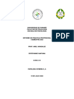 Informe Práctica Profesional (Primer Semestre 2023)