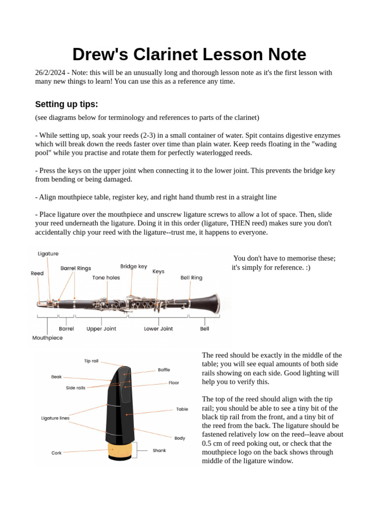 Clarinet Lesson Setup and Techniques | PDF | Clarinet