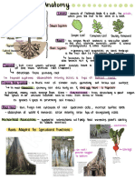 CH 35 - Plant Anatomy 2