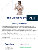 Digestive System PPT