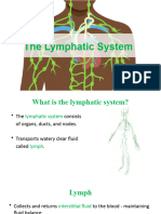 Lymphatic System PPT