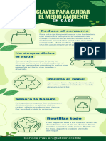 Infografía Sobre Ecología Cuidado Del Medio Ambiente Ilustrado Verde