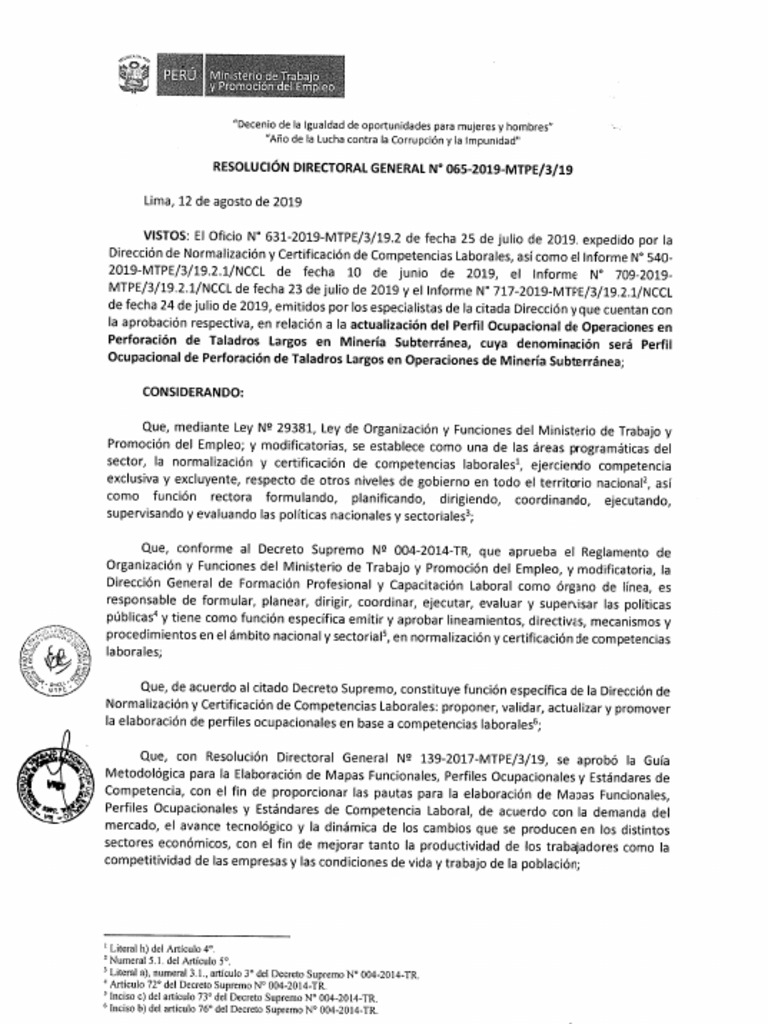 Rdg 065 2019 actualizaci n po perforaci n de taladros largos en