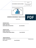 Dossier de seguridad y salud ocupacional[1]