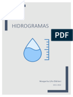 Hidrogramas Margarita Lillo