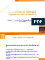 Capitulo 1 - Fundamentos de Psicologia Organizacional e Do Trabalho