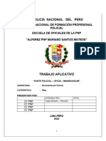 Documentacion Policial Grupal Final