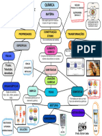 Mapa Mental - Revisão de Química - Conceitos Básicos