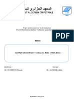 Rapport de Fin de Formation MSP (Stambouli Houcem ELM - EP-Puits)