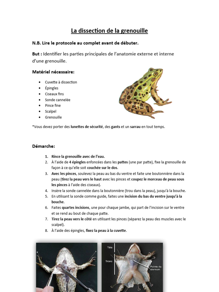 En images : tout savoir sur le cœur, image size:768x1024