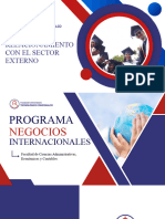 PARES ACADÉMICOS NEGOCIOS INTERNACIONALES - copia