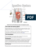 Diet Assessment