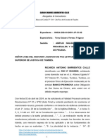 Amplio Pedido de Nulidad y Medios Probatorios