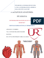 Plantilla Anatomia 3