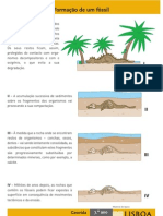 Cn7 Formacao de Um Fossil