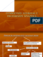 Conduccion Neuronal