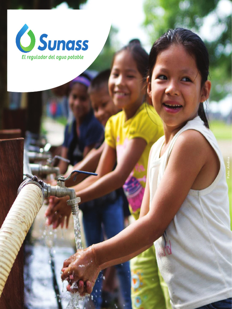 Sunass: Regulación de Saneamiento en Perú | PDF | Finanzas y dinero