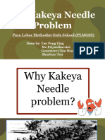 2017 SMPF - Kakeya Needle Problem