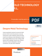 Mold Technology Matrite Suflare
