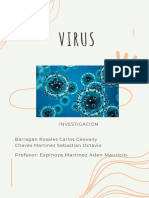 Investigación Virus