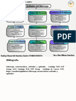 Mapa Conceptual Actitudes Saskya