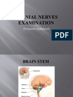 Cranial Nerves Localization