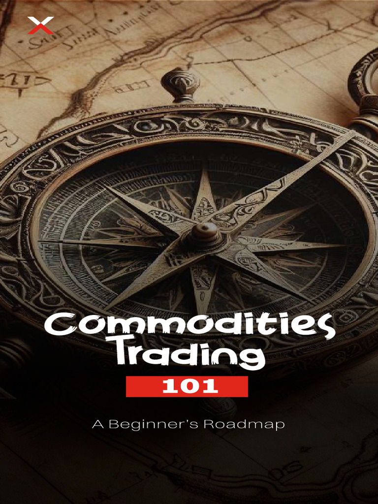 Commodities Trading Basics for Beginners | PDF | Derivative (Finance ...