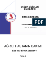 Ağrili Hastanin Bakimi