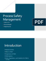 14 Pee Process - Safety 8s r13