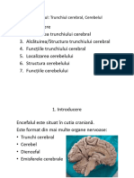 Trunchiul Cerebral. Cerebelul