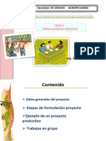 3. FORMULACIÓN DEL PROYECTO