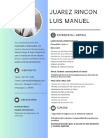 Juarez Rincon Luis Manuel: Experiencia Laboral