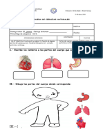 1 Prueba Ciencia El Cuerpo