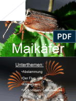 Maikäfer Powerpoint