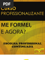 etapa_3_-_escolha_profissional