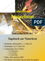 Naturbrut Von Hühnern, Tagebuch