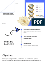 2°medio Cariotitpo y Mutaciones