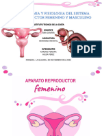Anatomia y Fisiologia Del Aparato Reproductor