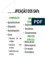 agroecologia-saf2