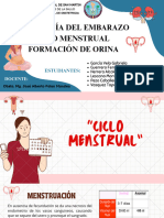 Fisiologia Ciclo Menstrual - Formación de Horina