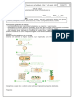 Ficha de Trabajo CPC (3) Finalizada