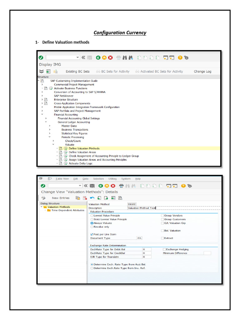 Currency Valuation Configuration Guide | PDF