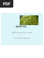 BRIÓFITAS