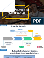 Acompañamiento Empresas