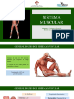 Sistema Muscular